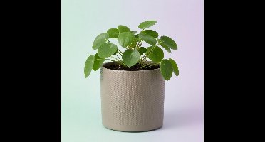 Mica Decorations Bloempot - taupe - relief - keramiek - 28 x 26 cm
