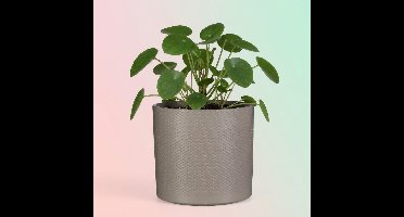 Mica Decorations Bloempot - taupe - relief - keramiek - D23 x H21 cm