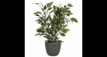 Mica Decorations Ficus kunstplant - 40 cm - met plantenpot grijs