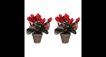 Mica Decorations Kunstplant - 2x - cyclaam - rood - in pot - 30 cm