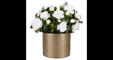 Mica Decorations Kunstplant - Azalea wit - H31 cm - in gouden pot