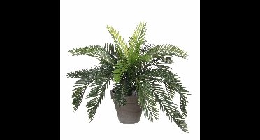 Mica Decorations Kunstplant Cycaspalm - groen - H37 cm - in pot