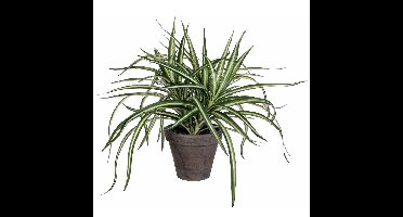 Mica Decorations Kunstplant - Dracaena - groen - in pot - 34 cm