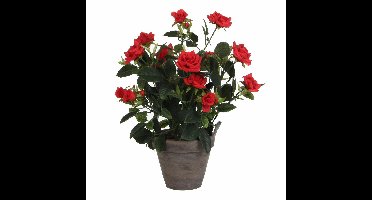 Mica Decorations Kunstplant - rozen - rood - grijze pot - 33 cm