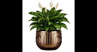 Mica Decorations Plantenpot - brons - glans ribbel - D29 x H25 cm