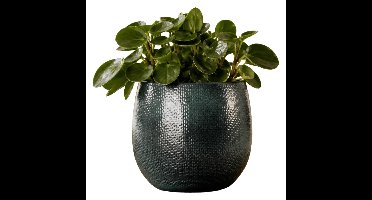 Mica Decorations Plantenpot - donkerblauw - ribbel - D15 x H16 cm