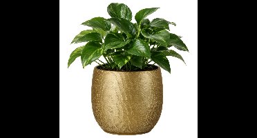 Mica Decorations Plantenpot - goud - glans ribbel - D31 x H32 cm