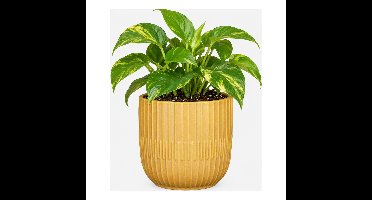 Mica Decorations - Plantenpot - mat okergeel - stripes - D14 x H13 cm