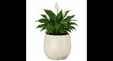 Mica Decorations Plantenpot - wit - glans ribbel - D15 x H16 cm