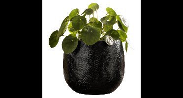 Mica Decorations Plantenpot - zwart - glans ribbel - D17 x H18 cm