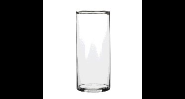 Mica Decorations Vaas - cilinder - helder - glas - 9 x 19 cm