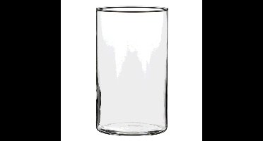 Mica Decorations Vaas - cilinder - helder - glas - D12 x H20 cm