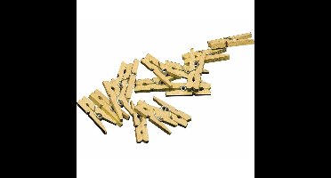Mini knijpertjes - 100x - goud - 2 cm - hout - knijpers - voor kaarten