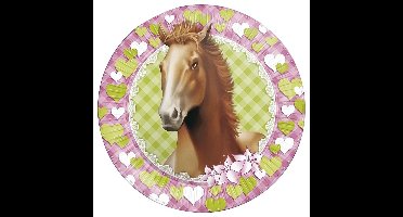 Paarden themafeest wegwerpbordjes - 32x - 23 cm