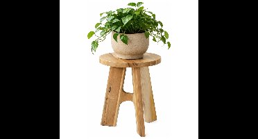 Plantentafel Kenya - FSC hout - lichtbruin - D37 x H40 cm