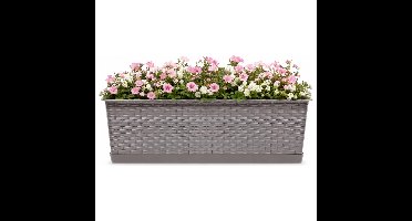 Prosperplast Plantenbak - rotan - rechthoek - taupe - 50x17x15 cm