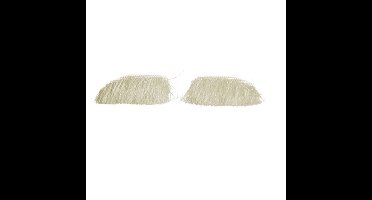 Sinterklaas verkleed wenkbrauwen - 1x - wit - Sint kostuum accessoires