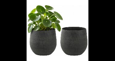 Ter Steege Plantenpot - 2x - moderne - grafiet - 15 x 13 cm