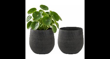 Ter Steege Plantenpot - 2x - moderne - grafiet - 26 x 26 cm