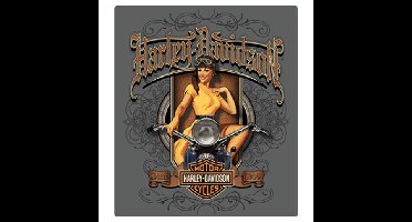 Harley-Davidson Old Scroll Babe Metalen Bord - 33 x 38cm LAATSTE STUKS | 9% korting
