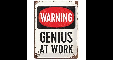 Genius At Work Reliëf Metalen Bord
