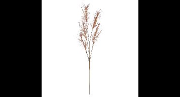 Pluimgras losse steel/tak - meerdere stengels - lichtbruin - 98 cm - Decoratie kunst pluimen