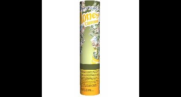 Confetti kanonnen/shooters - papier geld biljetten - 20cm - Feestartikelen - money thema