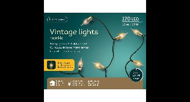 Lumineo Vintage kerstverlichting ? 120 led lampjes - klassiek warm wit ? 11,9 meter ? kunststof