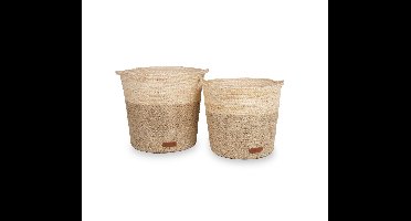 Mand Kelsi, set van 2