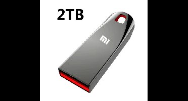 Originele Xiaomi Metal Usb 2Tb 3.0 Flash Drives - Hoge Snelheid Pendrive - Usb Drive - Draagbare Ssd Memoria - Usb TYPE-C - donkergrijs