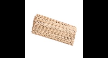 Cosy & Trendy Sat? prikkers - 100x stuks - hout - L25 cm - brochettestok