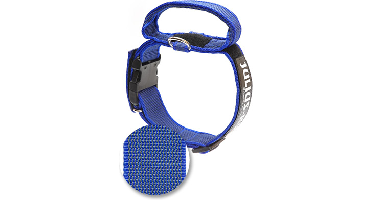 Halsband met handvat en tekstlabel - blauw, 40 mm × 38-53 cm