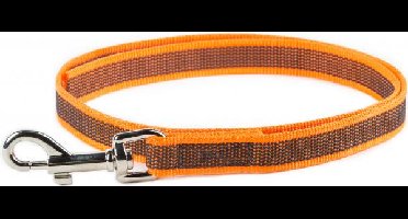Korte lijn hond - antislip, 20 mm, zonder handvat