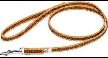 Korte lijn hond - antislip, 14 mm, met handvat
