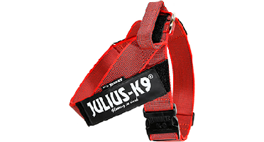 IDC Riemtuig Rood - maat 1