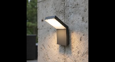 Lyora WandlampPark antraciet - 108475