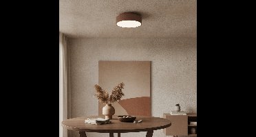 Artdelight PlafondlampChicago Ø 25cm brons geborsteld - PL CHICAGO-250 BG