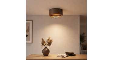 Artdelight Badkamer plafondlampOran Ø 12cm - Brons geborsteld - PL ORAN BG