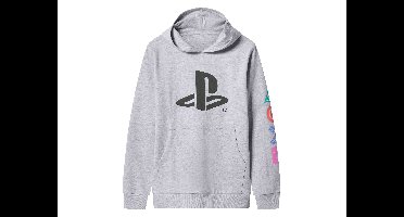 Hoodie (Grijs, 158/164)