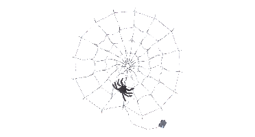 Halloween LED-spinnenweb, 120 cm (Oranje)