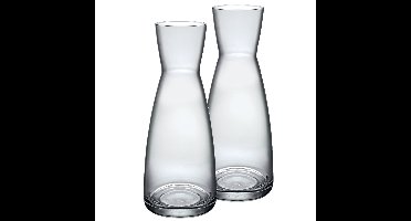 Drank/water karaf of kleine vaas - 2x stuks - glas - transparant - D10 cm x H25 cm - 1000 ML