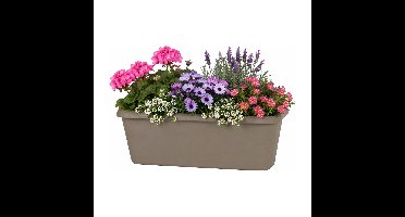 EDA Chorus balkon bloempot / plantenbak - kunststof - taupe - 30 x 12 x 11 cm - met ophangbeugel