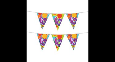 Haza Vlaggetjes met 10 jaar opdruk - 2x stuks - leeftijd verjaardag - versiering - kunststof - 10 me