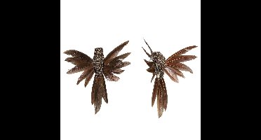 Kolibrie vogels op clip - 2x st - bruin - 12 x 13 x 7,5 cm -kunststof - decoratie