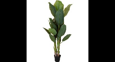 Kunst bananenplant - in pot - 165 cm - kunstplant - voor binnen - bananenboom