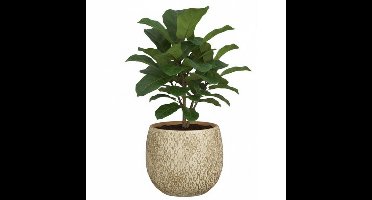Mica decorations Bloempot / plantenpot Madeira - creme - terracotta - 28 cm - schubbenpatroon