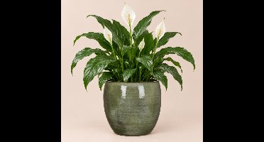Mica Decorations Plantenpot - groen - glans - keramiek - 33 x 31 cm