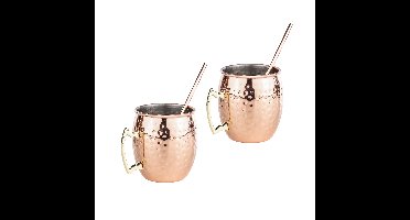 Set van 6x Cocktailbekers/cocktailglazen Moscow Mule 500 ml met drinkrietjes