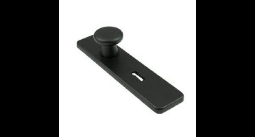 AMI klikkortschild met vaste knop (40mm) - sleutelgat - SL 56 - zwart - 739272
