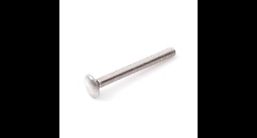 Proftec slotbout [25x] - RVS-A2 - M8x40mm